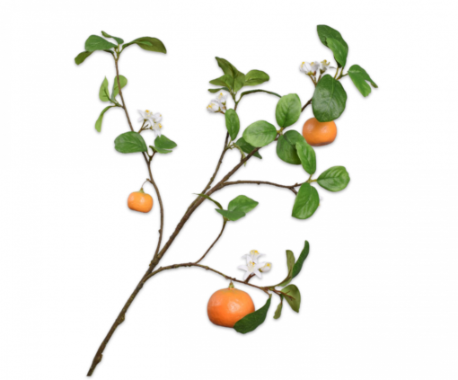 branche d'oranger de 100 cm