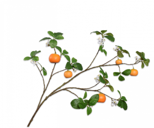 branche d'oranger de 124 cm