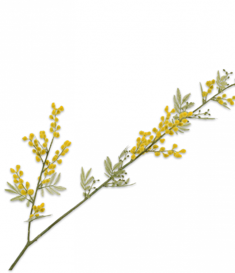 mimosa jaune artificiel d'une hauteur de 99 cm