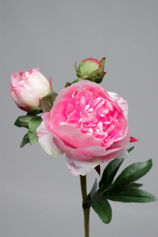 pivoine rose foncé 50 cm